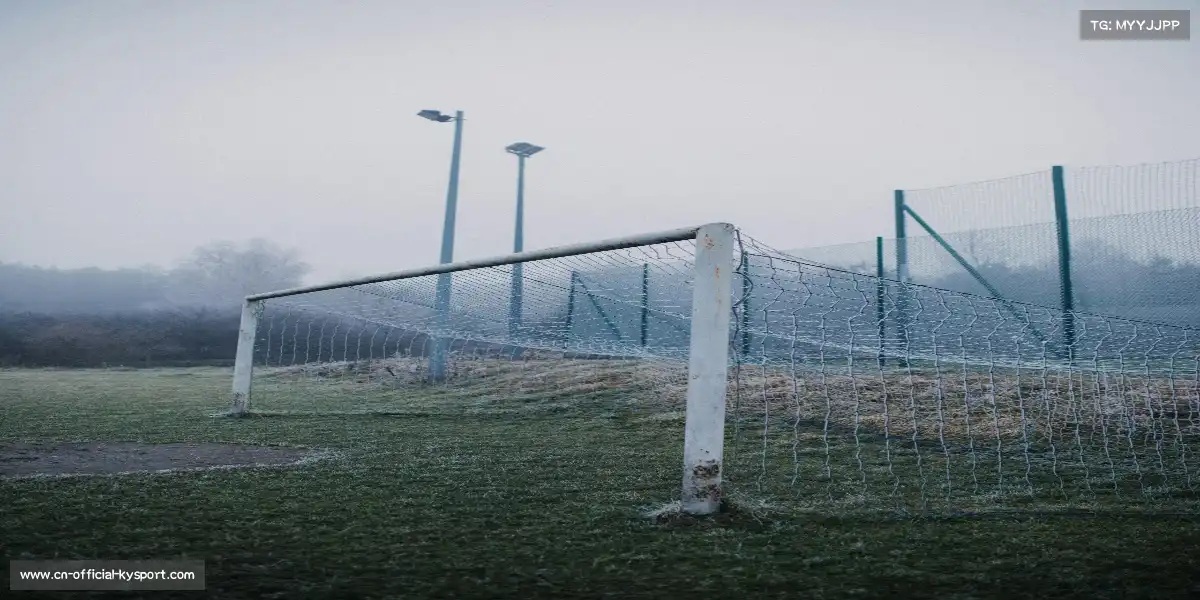 开云体育官网——👊武术擂台,气吞万里!